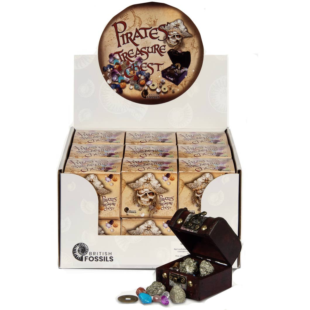 Pirate Treasure Chest (Display of 18) for wholesale by Science and Nature