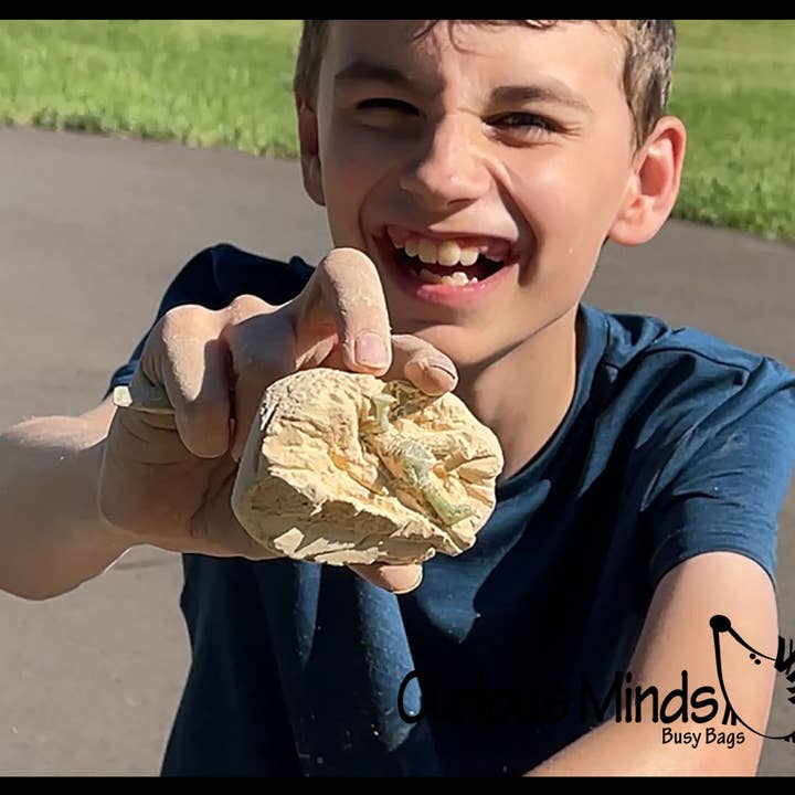 Curious Minds Toys - Wholesale Figurine Toy - Kids - 1 Dinosaur Fossil Excavation Dig Eggs - Uncover Dino Fossil