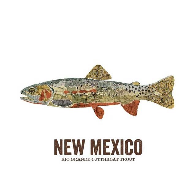 New Mexico State Fish, Map Art - Rio Grande Cutthroat Trout for wholesale by Wooden Pencil Company