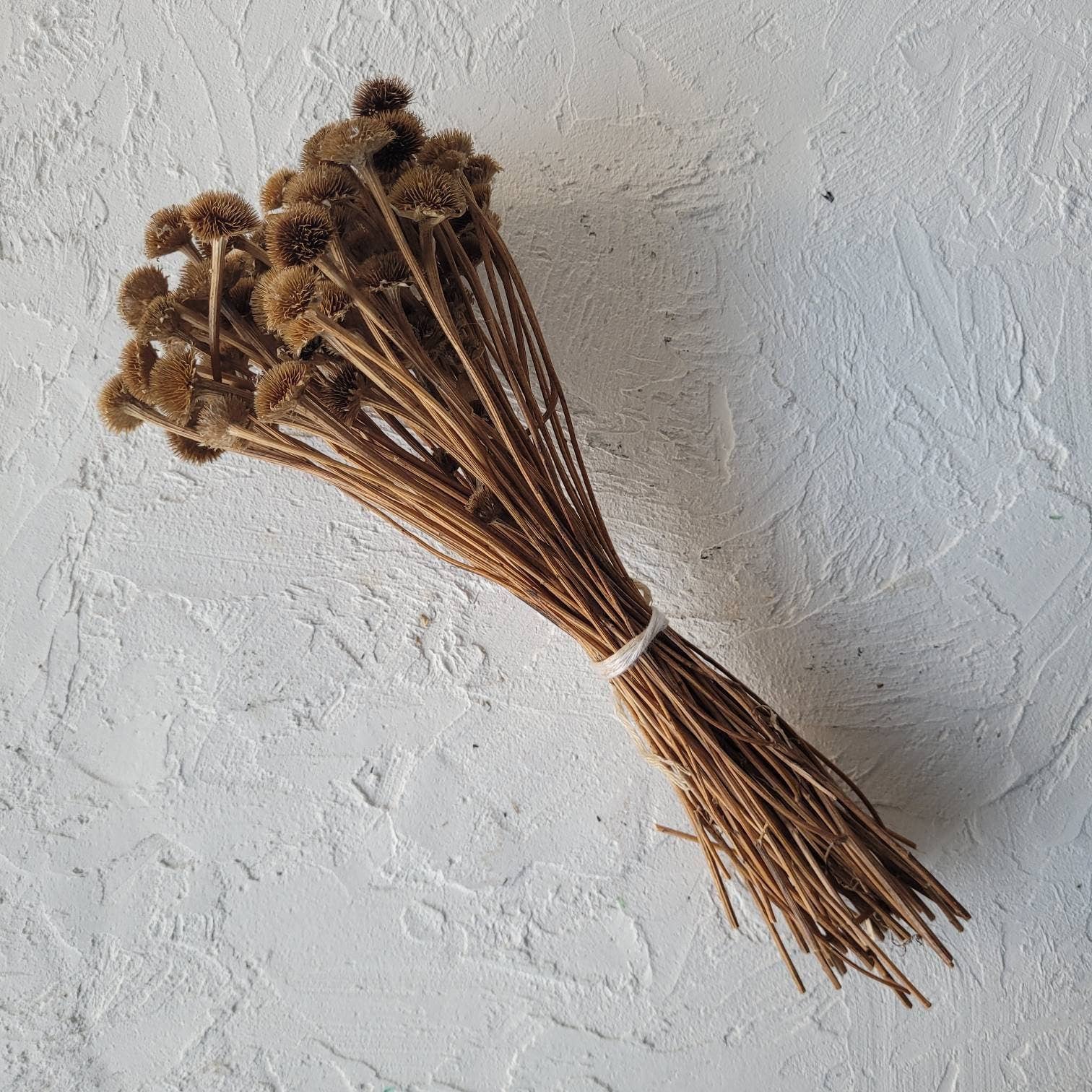 MY BOUQUETS - Vente Fleur séchée/pressée - Bouquet de chrysanthèmes séchés, fleurs séchées naturelles avec options de couleurs peintes à la main4