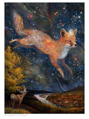 The Fox in the Starlight - Artist: Lisa Falzon - FF25 for wholesale by Masala Cards