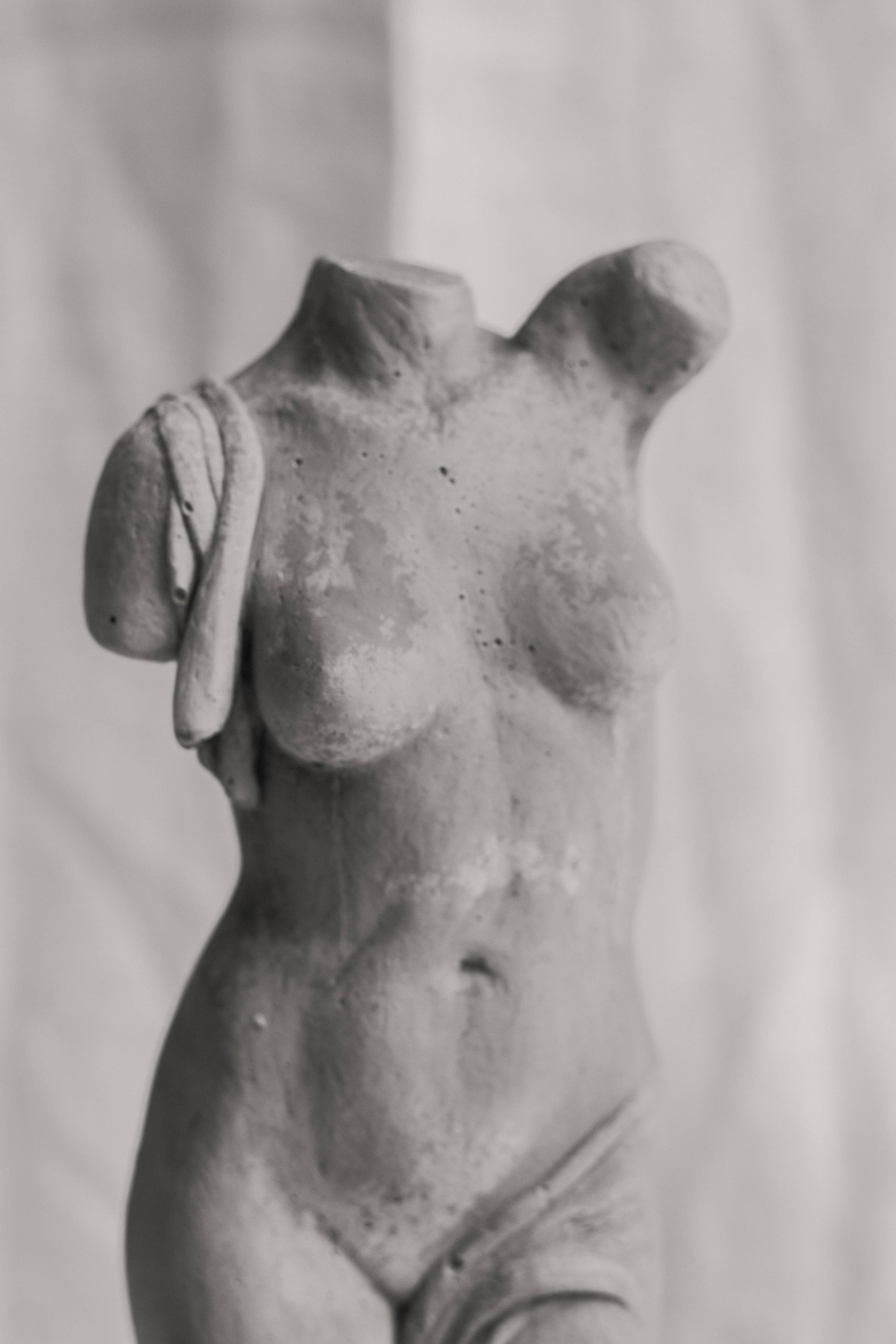 dellsculpture - Vendita all'ingrosso Scultura - Scultura del torso femminile8