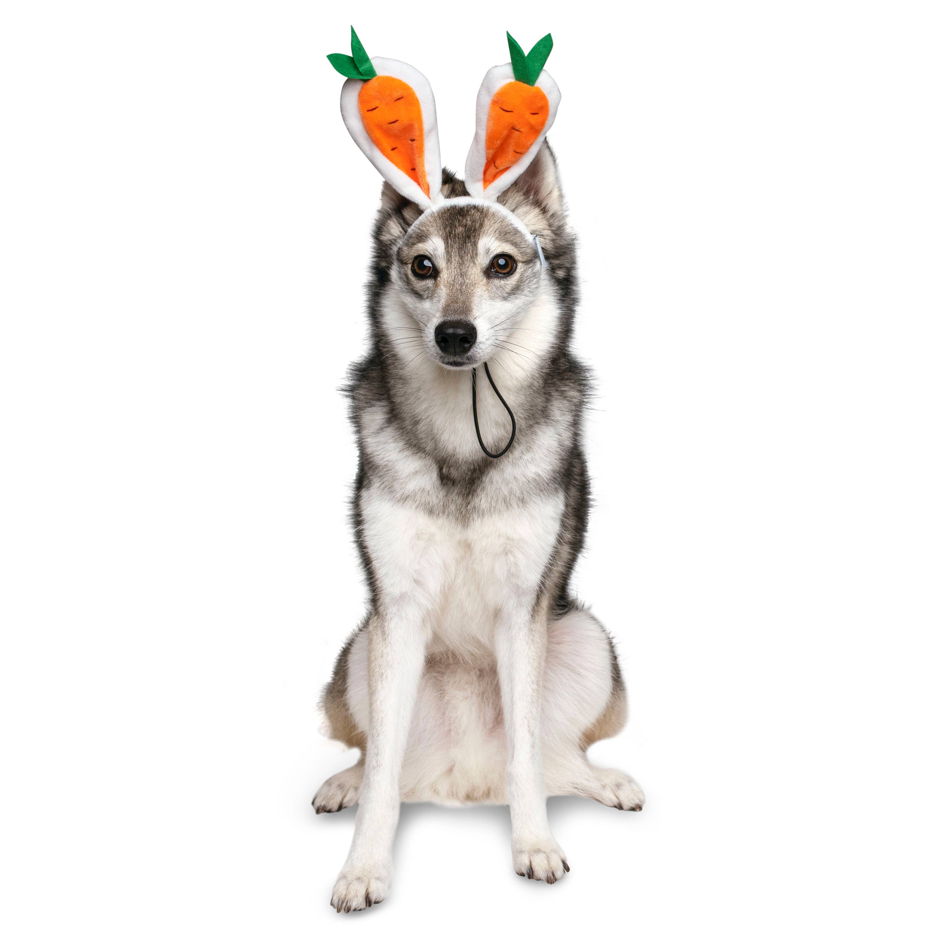 Midlee Designs - Wholesale Pet Hat - Dog - Midlee Carrot Bunny Ears Easter Dog Headband Costume6