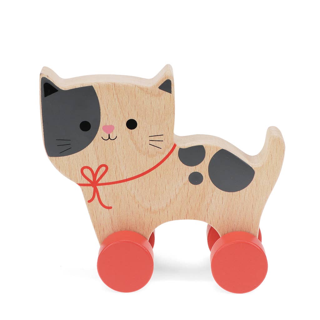 Rex B2B - UK – wholesale Wood toy – Child – Wooden push along toy - Cat1
