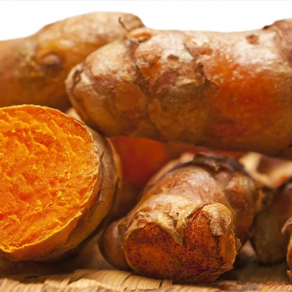 Brand Organic – wholesale Oral supplement/vitamin – Herb Pharm Turmeric 30ml Organic1