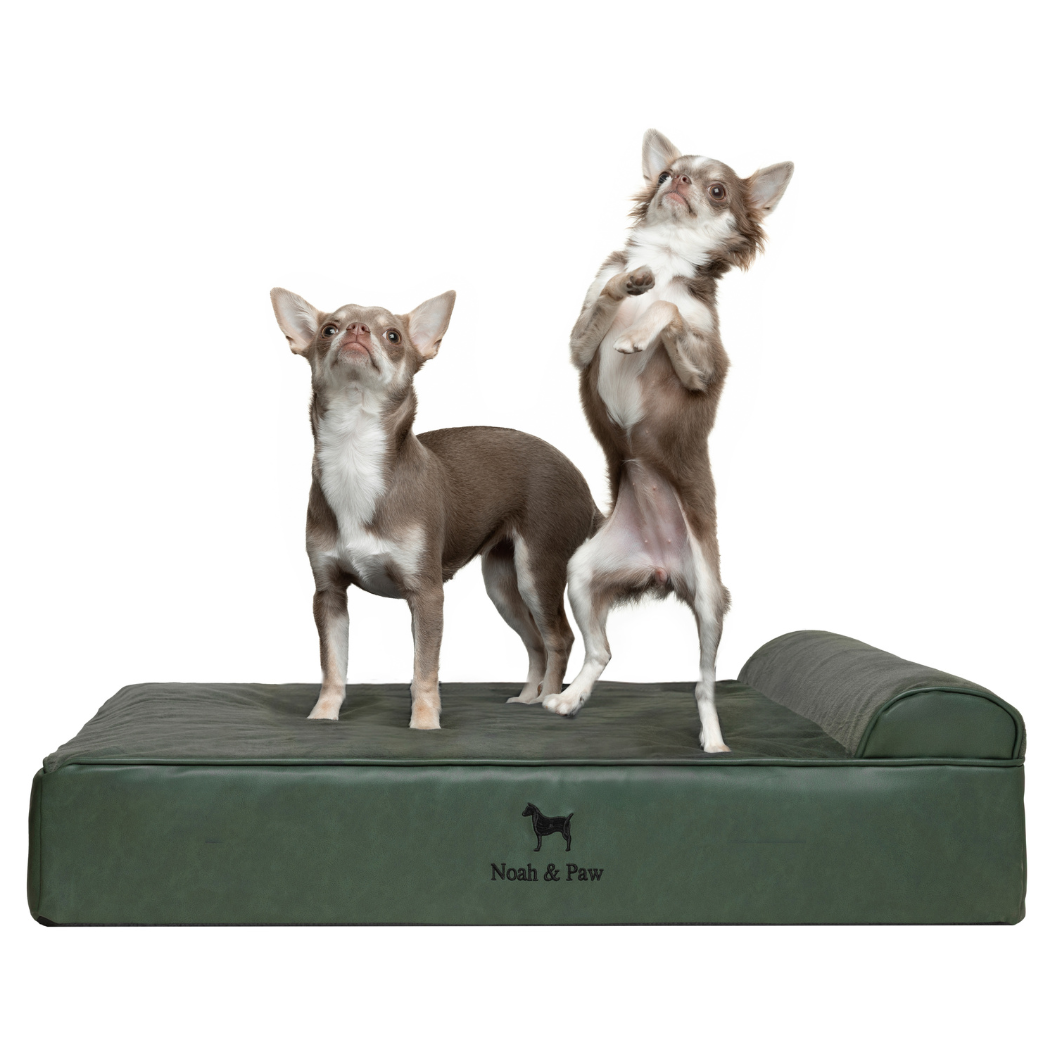 NOAH AND PAW LLC – Großhandel Haustierbett – Katze/Hund – Orthopädisches Hundebett aus Kunstleder mit Memory-Schaum und kühlendem Gel, klassischer Stil15