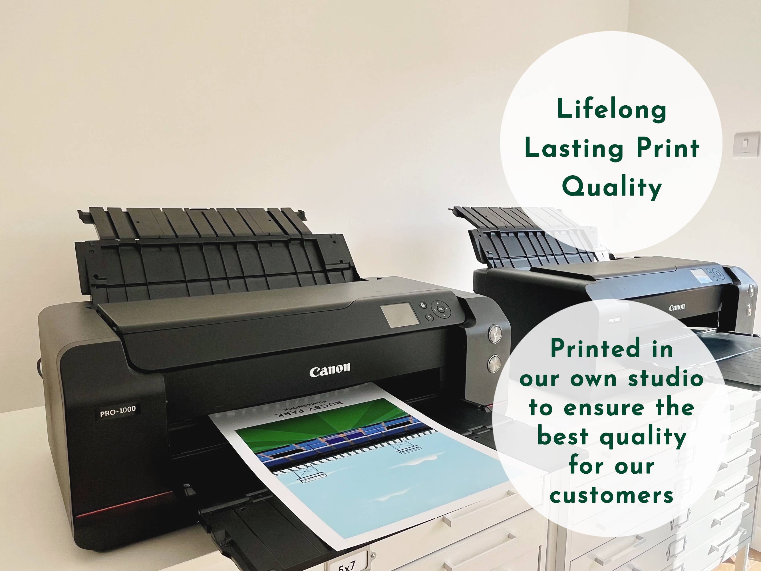 Turf Football Art – wholesale Art print – Any Football Stadium - Contemporary Illustrated Art Print10