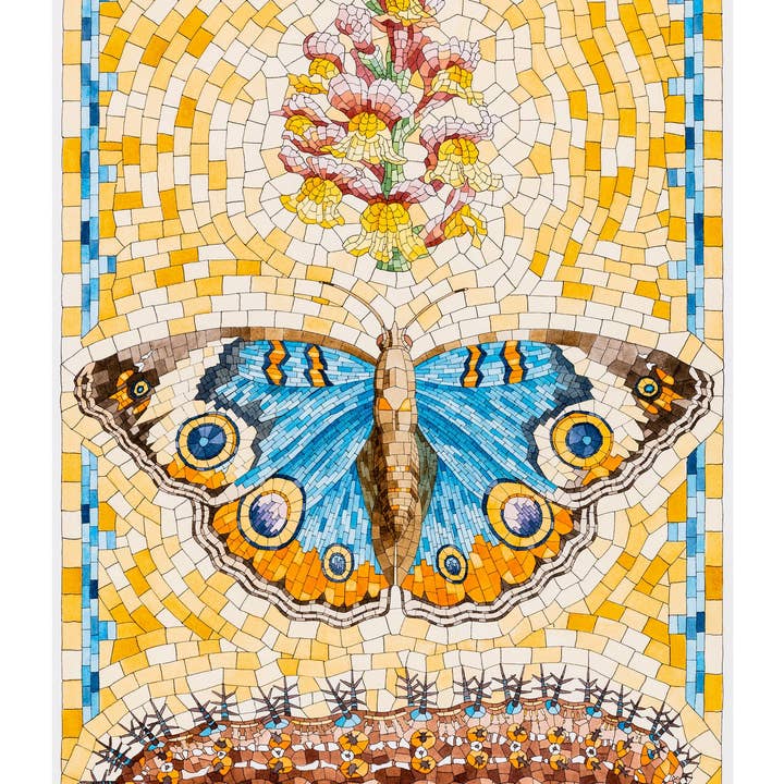 Pomegranate - Wholesale Stationery/Notecard Set - David Cohen: Butterflies Boxed Notecard Assortment2