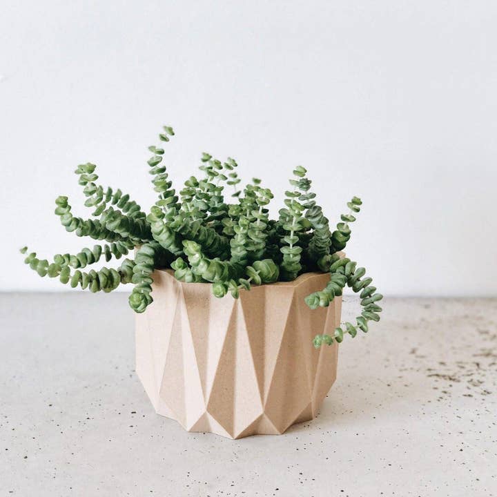 MINIMUM DESIGN - Wholesale Plant Pot - ORIGAMI Planter – Geometric Wood Planter for Succulents & Cacti, Eco-Friendly Design5