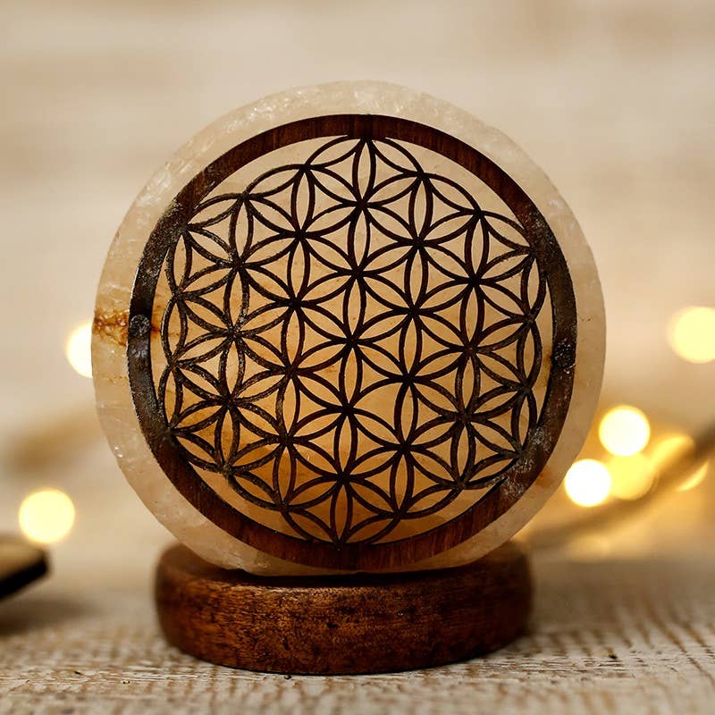 Ethike.eu – Großhandel Akzent-/Schreibtischleuchte – Flor Vida Himalaya-Salzlampen mit USB-Anschluss1