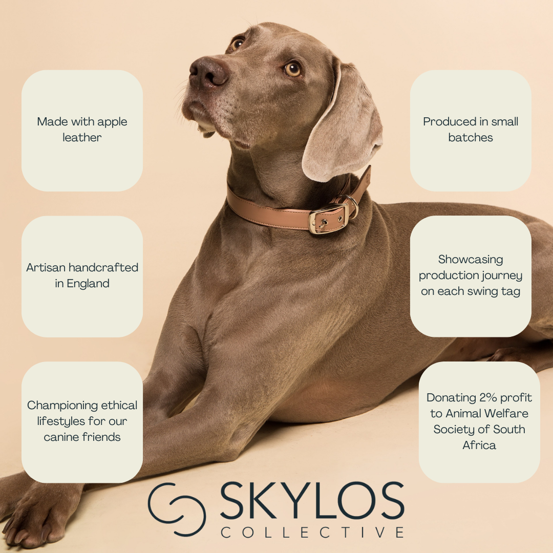 Skylos Collective - Wholesale Pet Collar - Dog - Blue Vegan Leather Dog Collar6