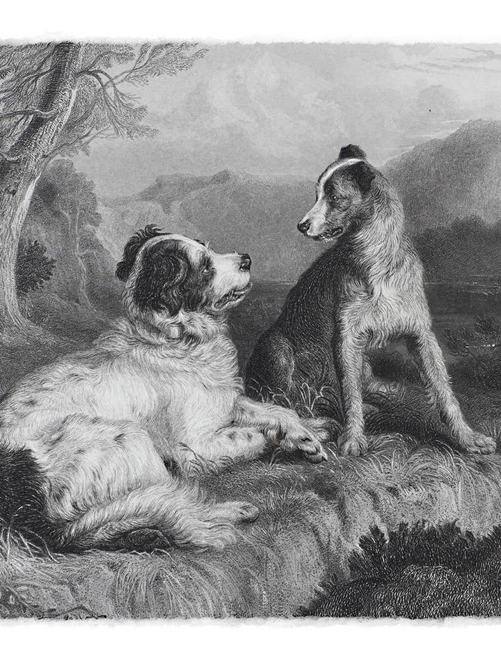 Estampado Friends-Antique para venta al por mayor de Something To Write Home About