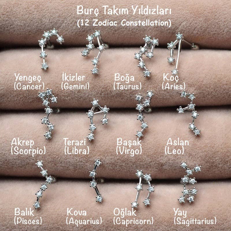 StockJWL - Wholesale Stud/Post Earrings - 12 Zodiac Earrings, Constellation Stud Earring Stud Piercing Tragus Helix Lobe and Cartilage Silver And Gold2