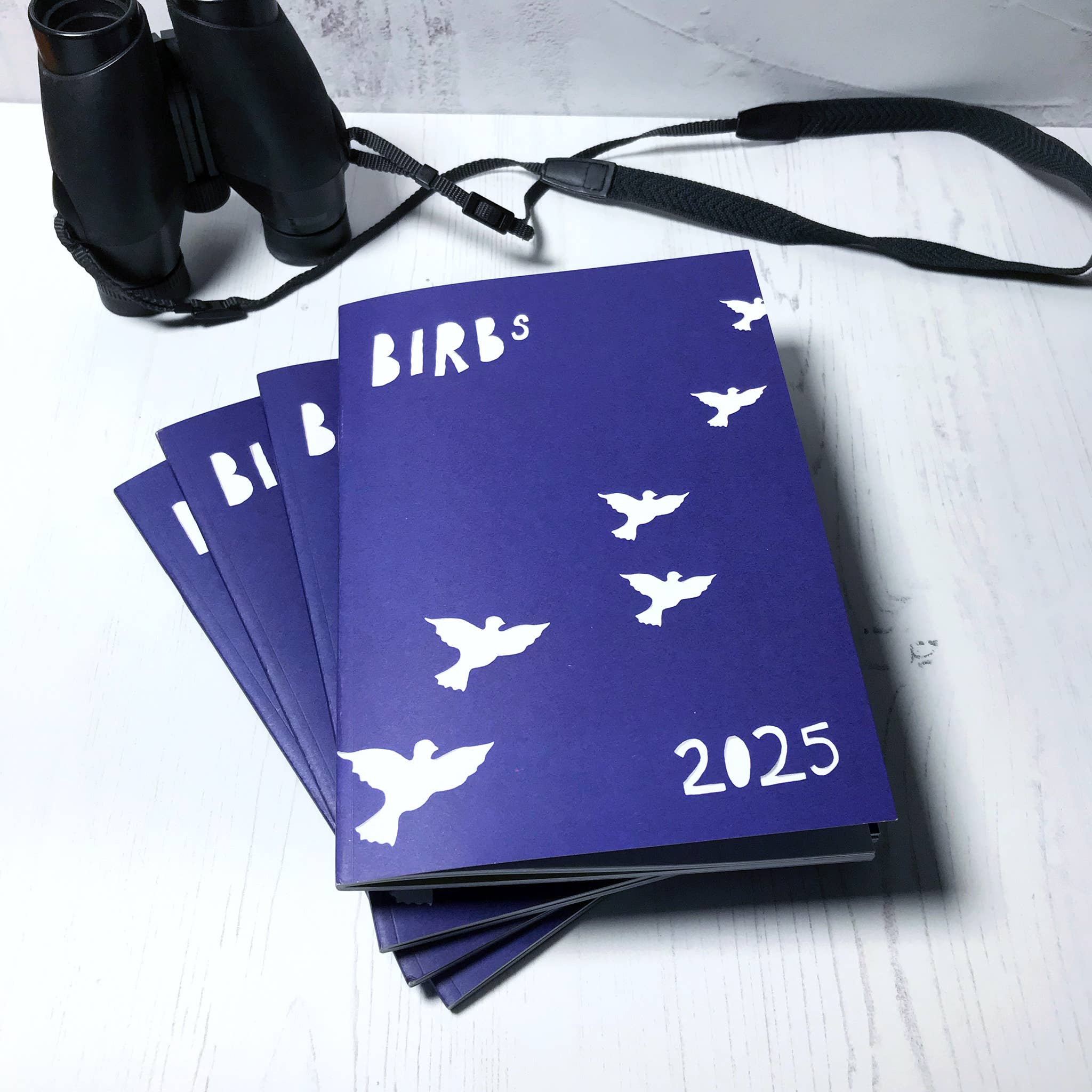 Loadofolbobbins - Wholesale Nature & Outdoors - Bird Illustration Zine 20254