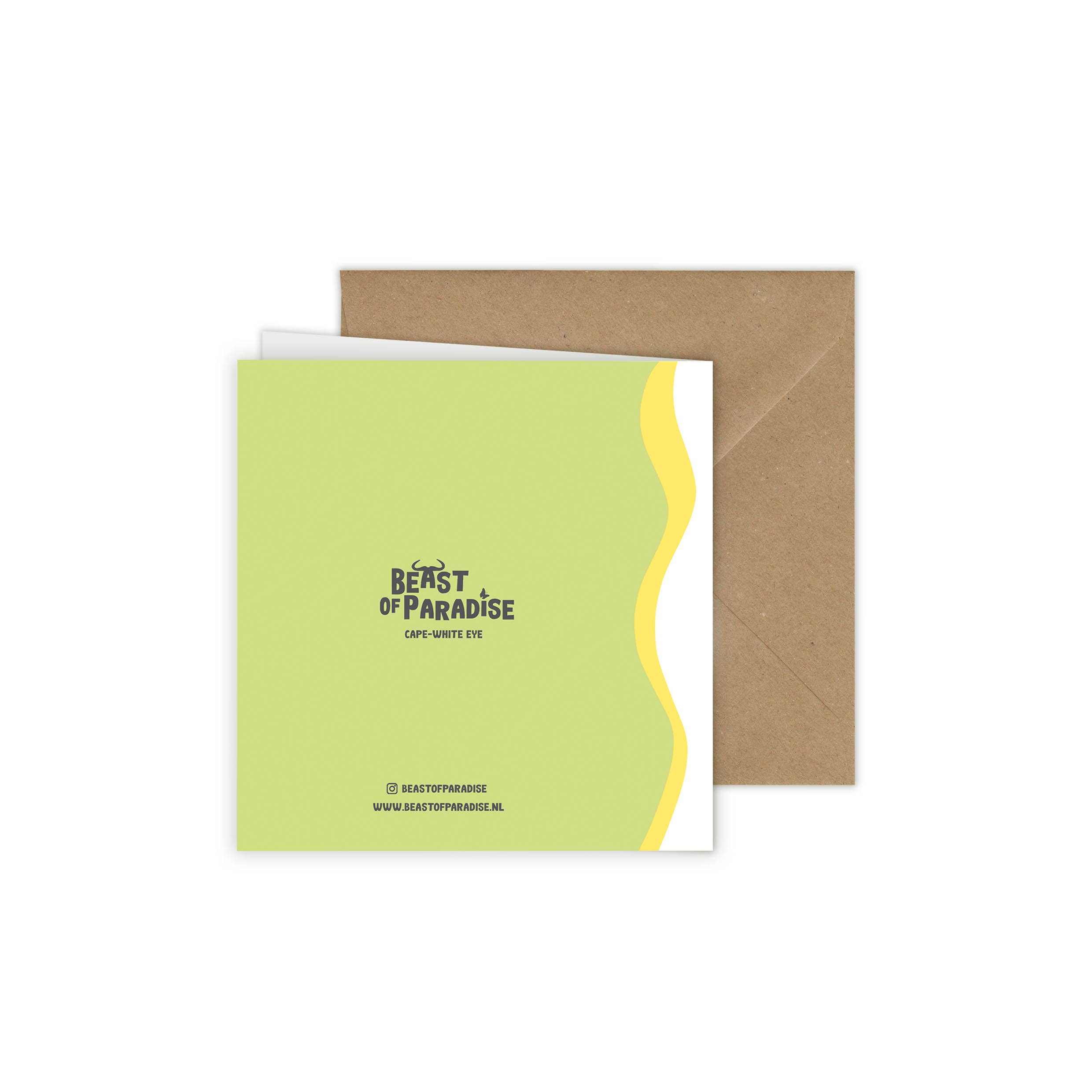 Beast of Paradise - Vendita all'ingrosso Biglietti di auguri - Biglietti di Auguri con Uccelli, Set di 10 Biglietti, Biglietti di Auguri con Animali21