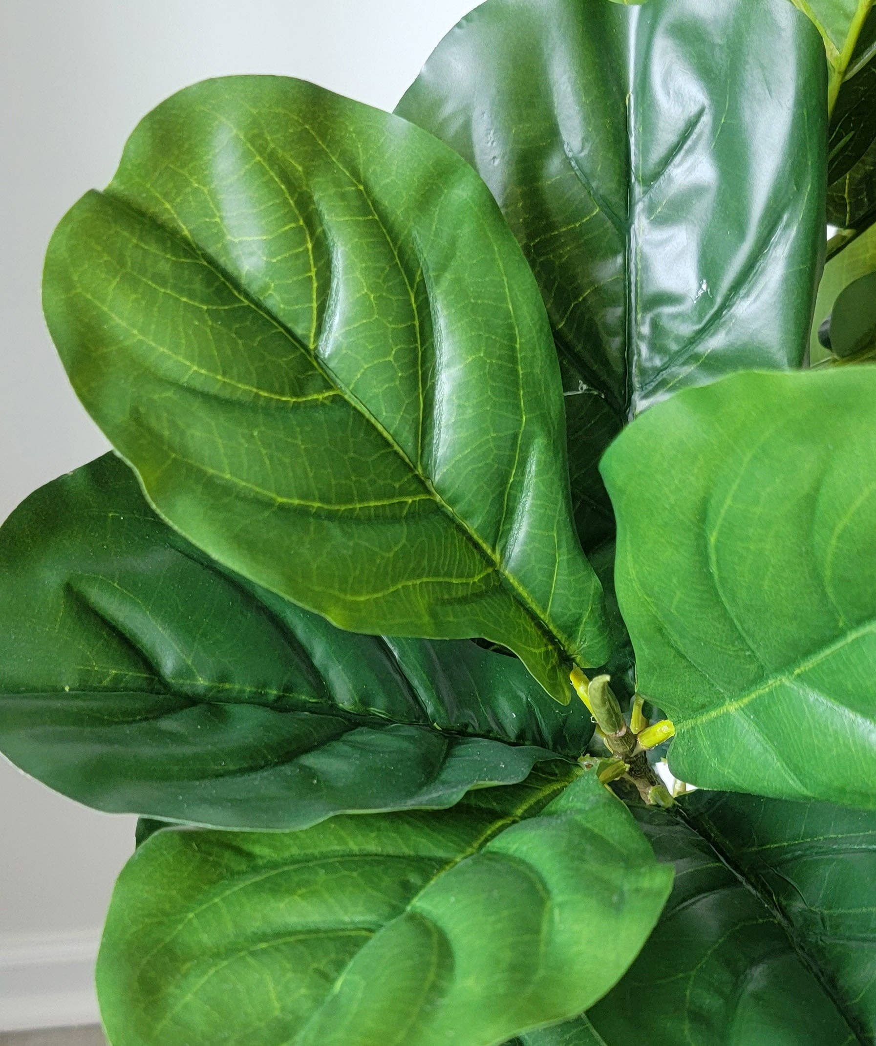 ES Essentials - Wholesale Artificial Plant - Artificial Fiddle Leaf Fig Real Touch Tree 38" Tall Green1