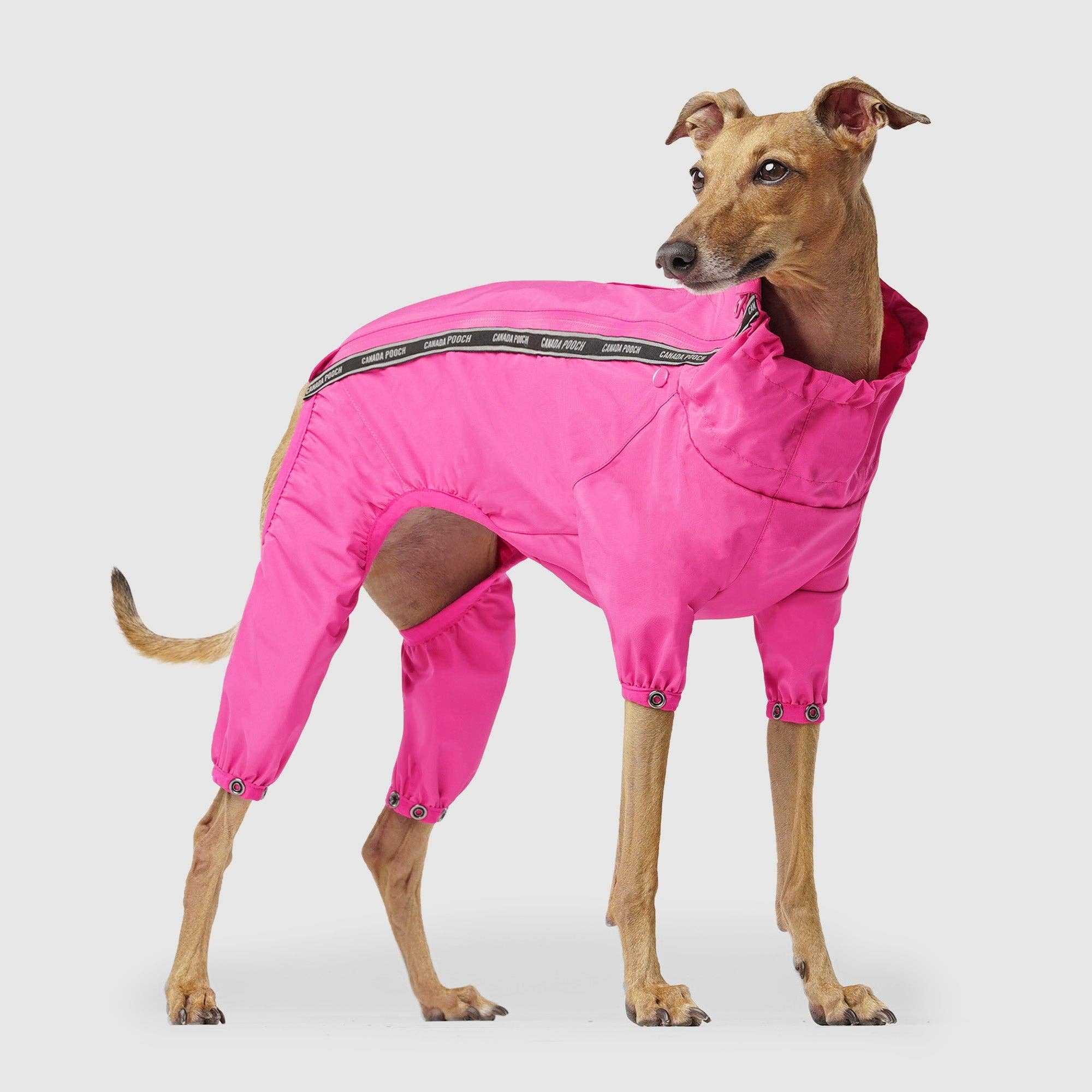 Canada Pooch – wholesale Overall

 - Katt och hund – The Slush Suit – hundoverall4