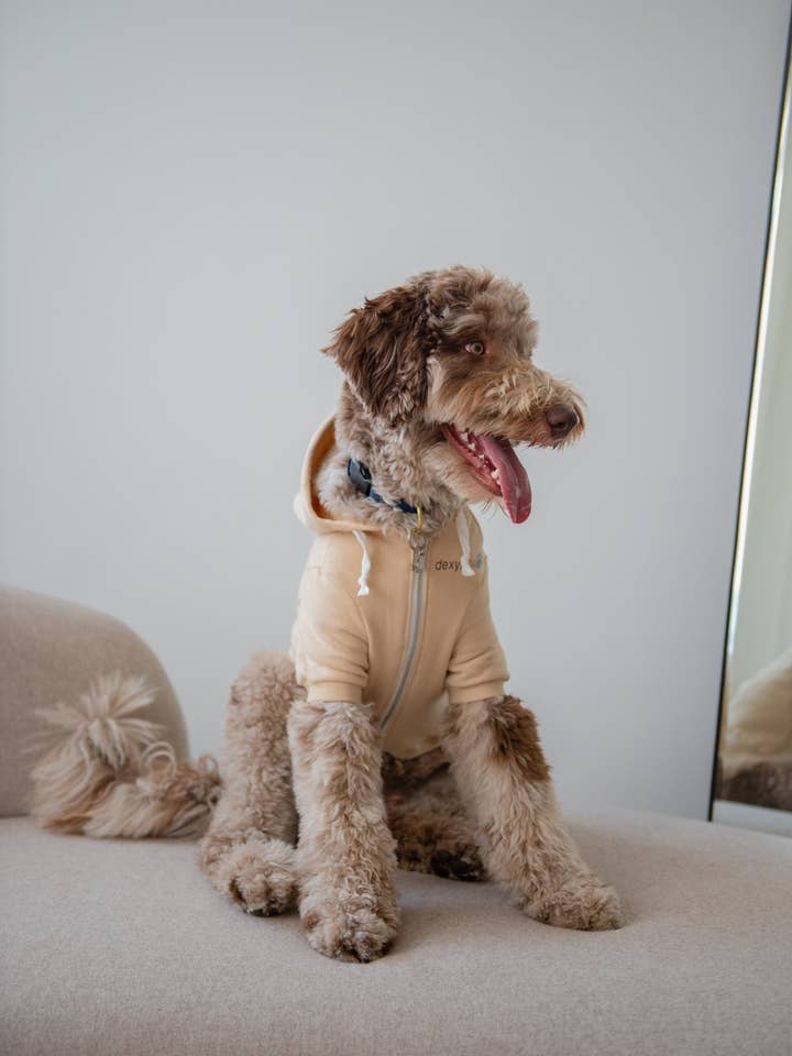 dexypaws - Wholesale Hoodie - Unisex - Hoodie - Beige
