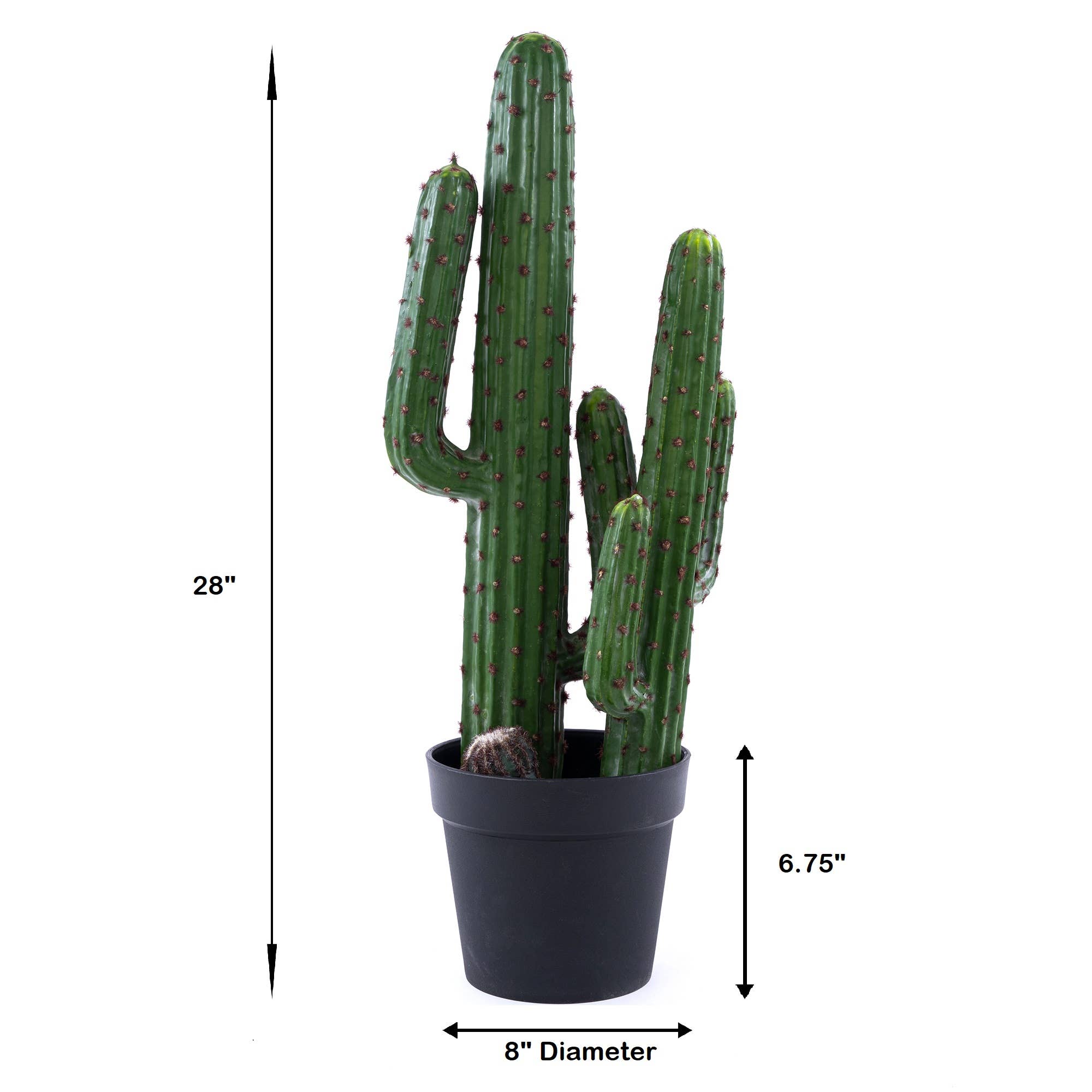 Portofino International Trading, USA - Wholesale Artificial Plant - Faux Saguaro Cactus with Plastic Pot 28"9