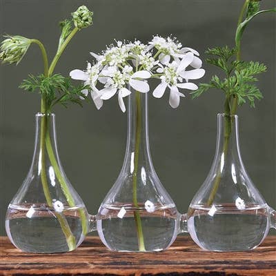 HomArt - Wholesale Vase - Quintet Glass Vase2