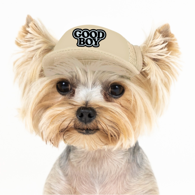 PupLid - Wholesale Pet Hat - Dog - Good Boy | Trucker Hat for Dogs3