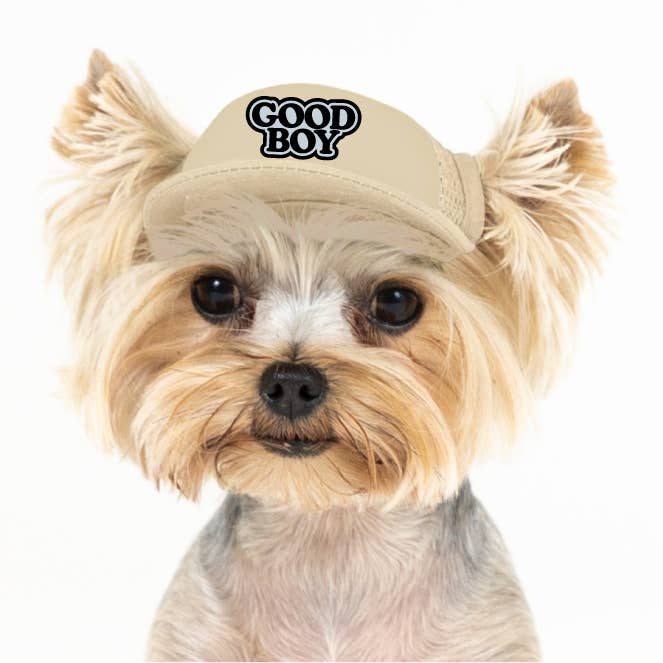 PupLid - Wholesale Pet hat – Dog - Good Boy | Trucker Hat for Dogs3