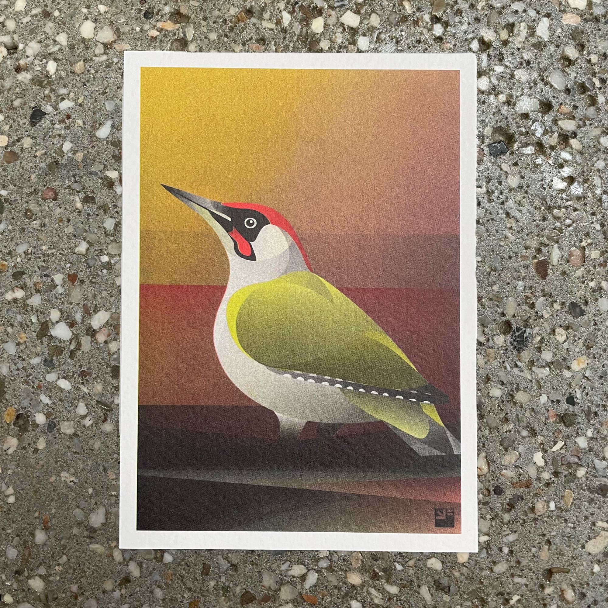VrijFormaat - Wholesale Postcard - postcard - Green Woodpecker (Birds) - A61