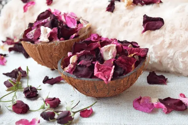 A Scent Story Candle Co - Wholesale Jar/Filled Candle - J. California Cooper | Bookish Candle | Author | Quote1