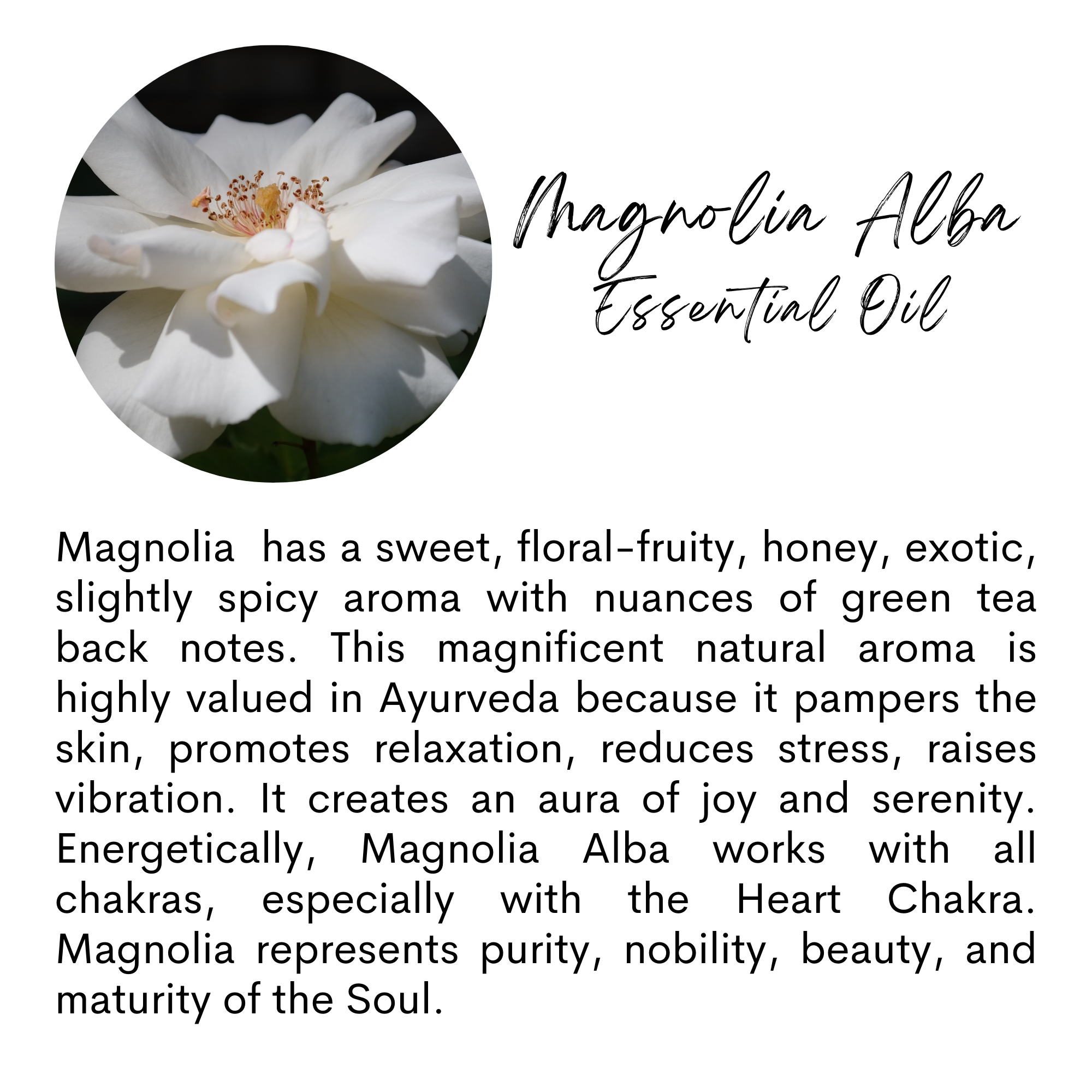 The Sacred Essence - Wholesale Hair Serum - DIVINE - Super Lightweight Full Spectrum Hair Serum21