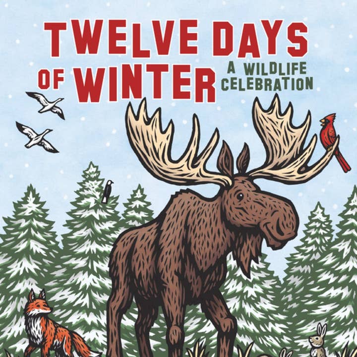Twelve Days of Winter: A Wildlife Celebration and other Purchase Wholesale winter wonder. Free Returns & Net 60 Terms on Faire trending on Faire.