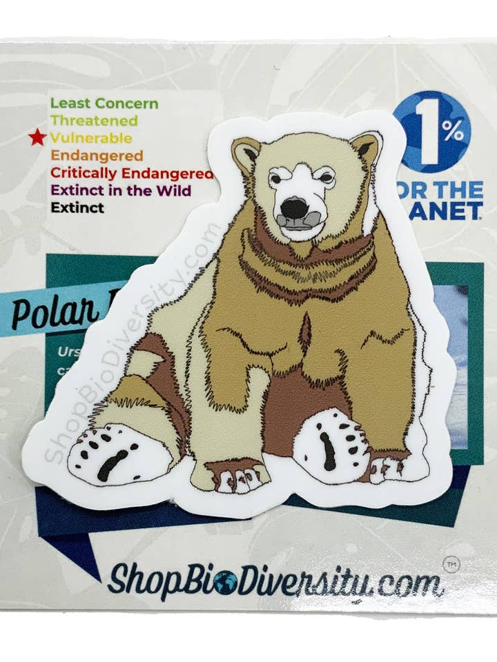 Autocolante de Vinil de Urso Polar - Decalque de Vida Selvagem do Ártico por atacado de Shop BioDiversity