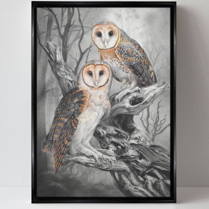 Fiona Francois Art - Wholesale Art Print - 'Tasmanian Masked Owls' canvas print