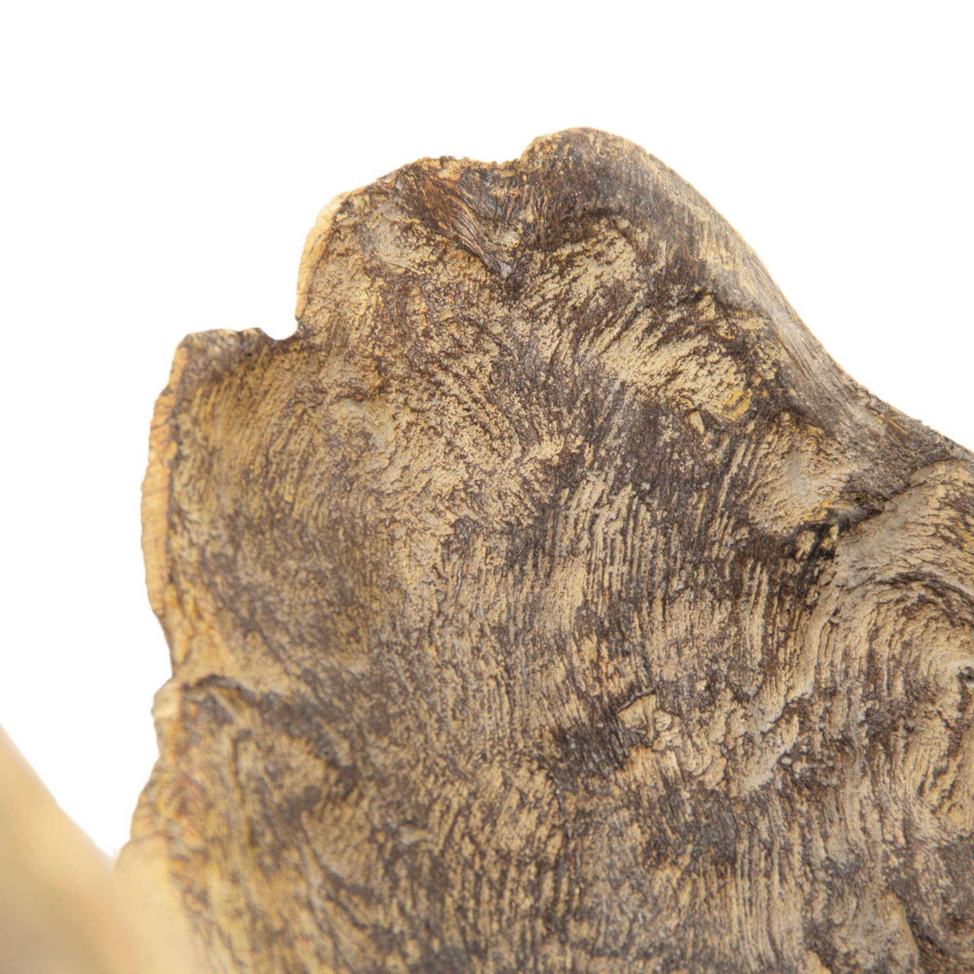 Brun vieilli Petite sculpture tronc d'arbre en résine en vente sur Faire3