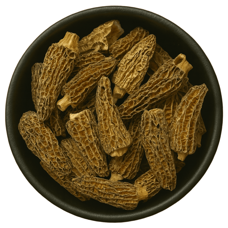 LA Herb - Wholesale Herbs - Morel Mushroom Whole (Morchella Esculenta)1