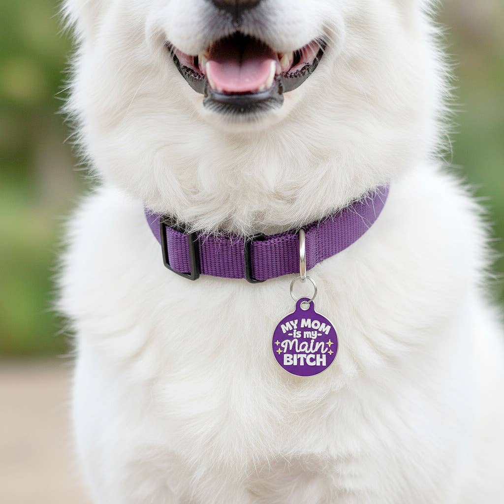 Bad Tags – Großhandel Halsband-Anhänger – Katze/Hund – Personalisierter Haustier-ID-Anhänger mit scannbarem Code - Mama, meine Hauptbitch10