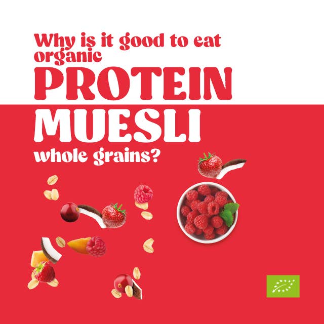 Stella Foods s.r.l. - Wholesale Breakfast Cereal - Crunchy Protein Muesli with Organic Fruit STELLA 300g1