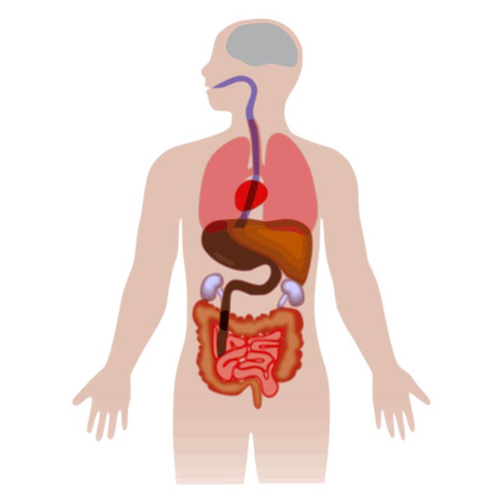 Diet Mate Blend for wholesale by Zia Zensations Inc.