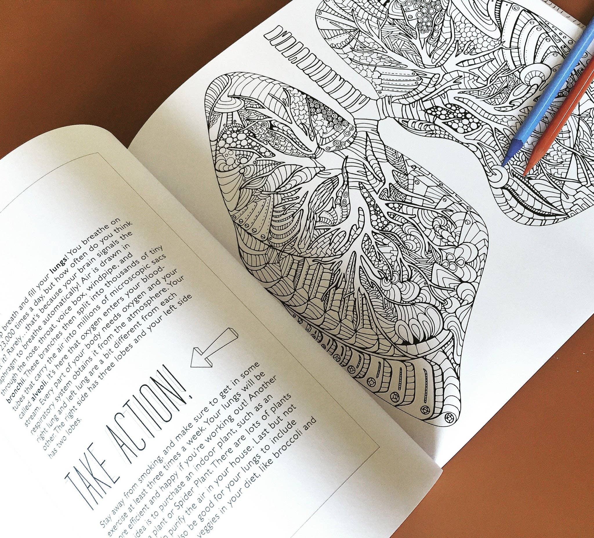 Artery Ink - Wholesale Coloring & Activity Book - Adult - Show Me Your Guts! An Artistic & Anatomical Coloring Book for Adults6