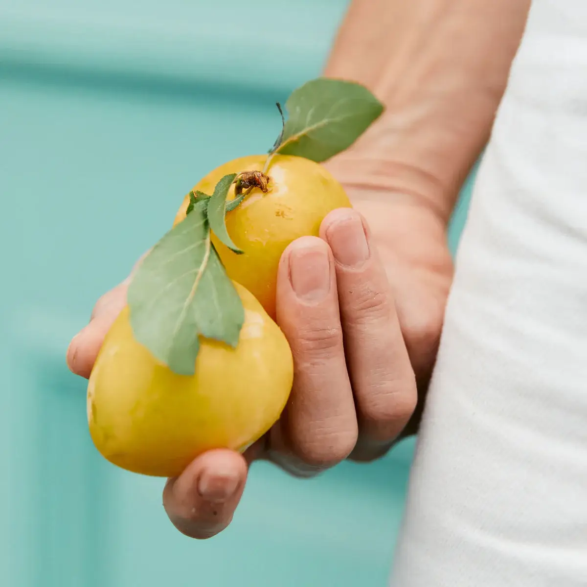 Girl Meets Dirt - Wholesale Preserves - Shiro Plum with Mint 7.75oz4