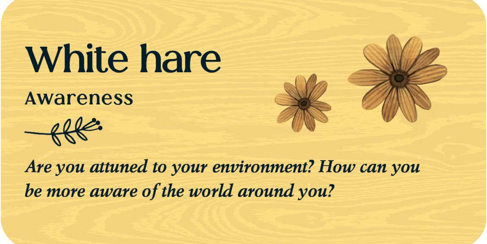 Simon & Schuster - Wholesale Body, Mind & Spirit - Forest Friends by Tijana  Lukovic2