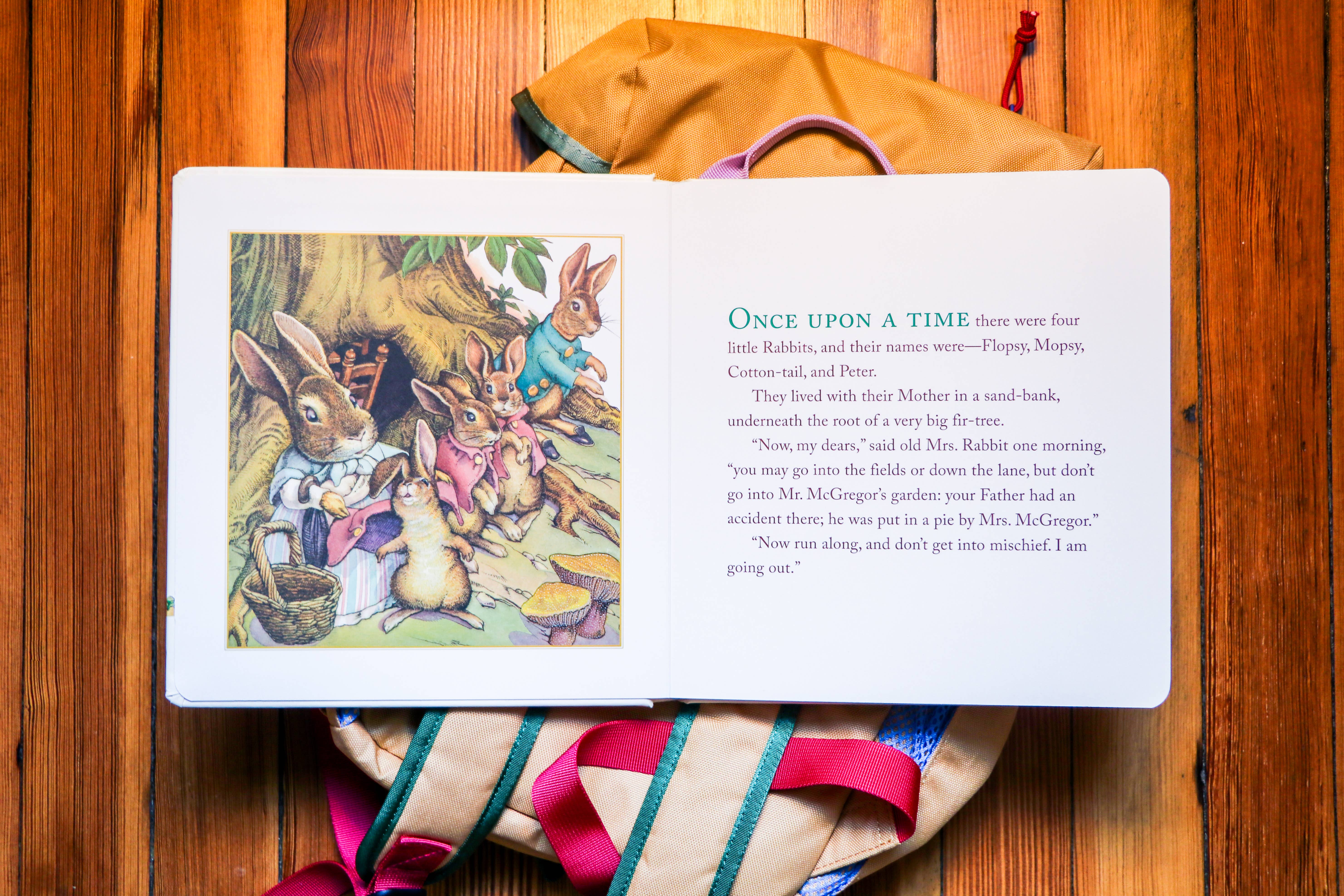 HarperCollins Focus - Wholesale Baby & Toddler Book (0-2) - The Classic Tale of Peter Rabbit Board Book: Revised Ed8