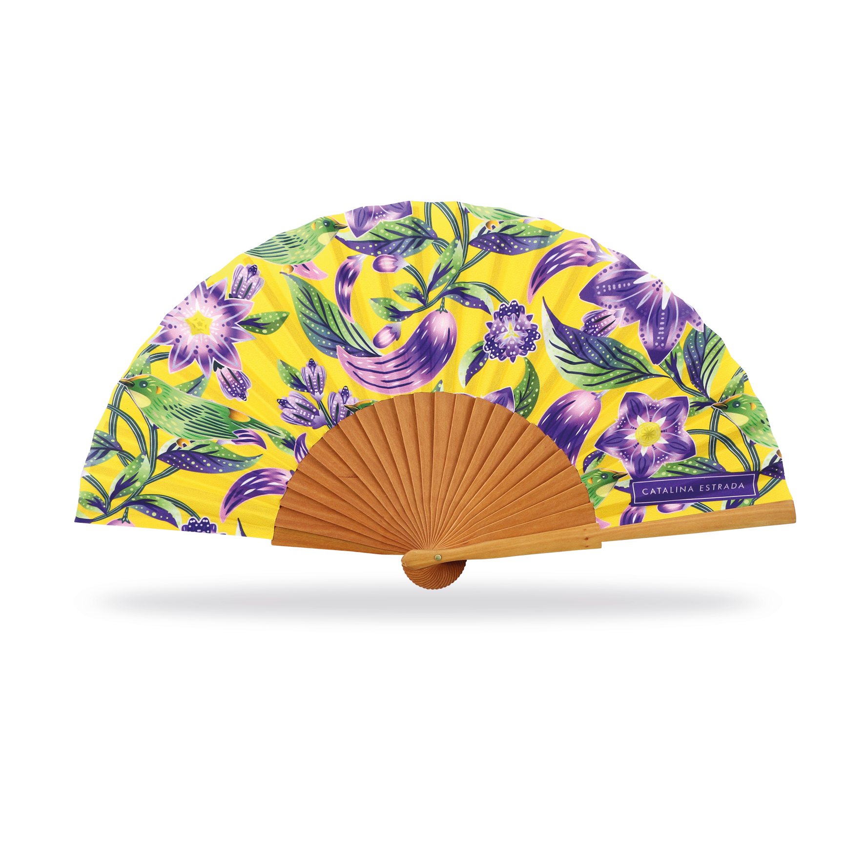 Cuatrogotas - Wholesale Party/Paper Folding Fan - Catalina Estrada Fan, Sweet Cucumber. Ref-A30163