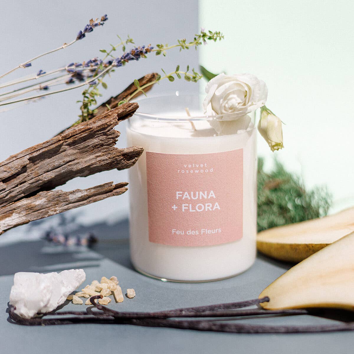 Feu des Fleurs - Wholesale Jar/Filled Candle - Candle Fauna & Flora - 50gr2