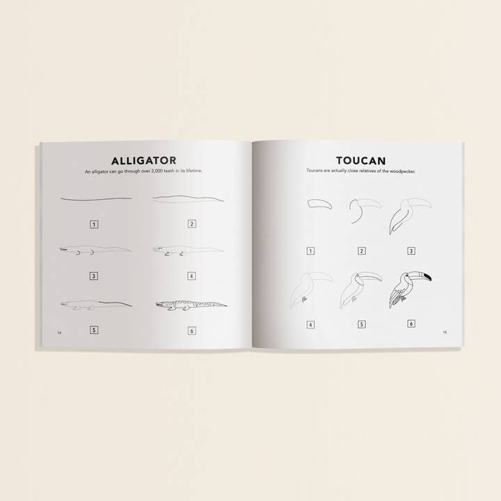 Paige Tate & Co. – wholesale Bok - Barn – Alla djur: En hur man ritar konstbok för barn Mini