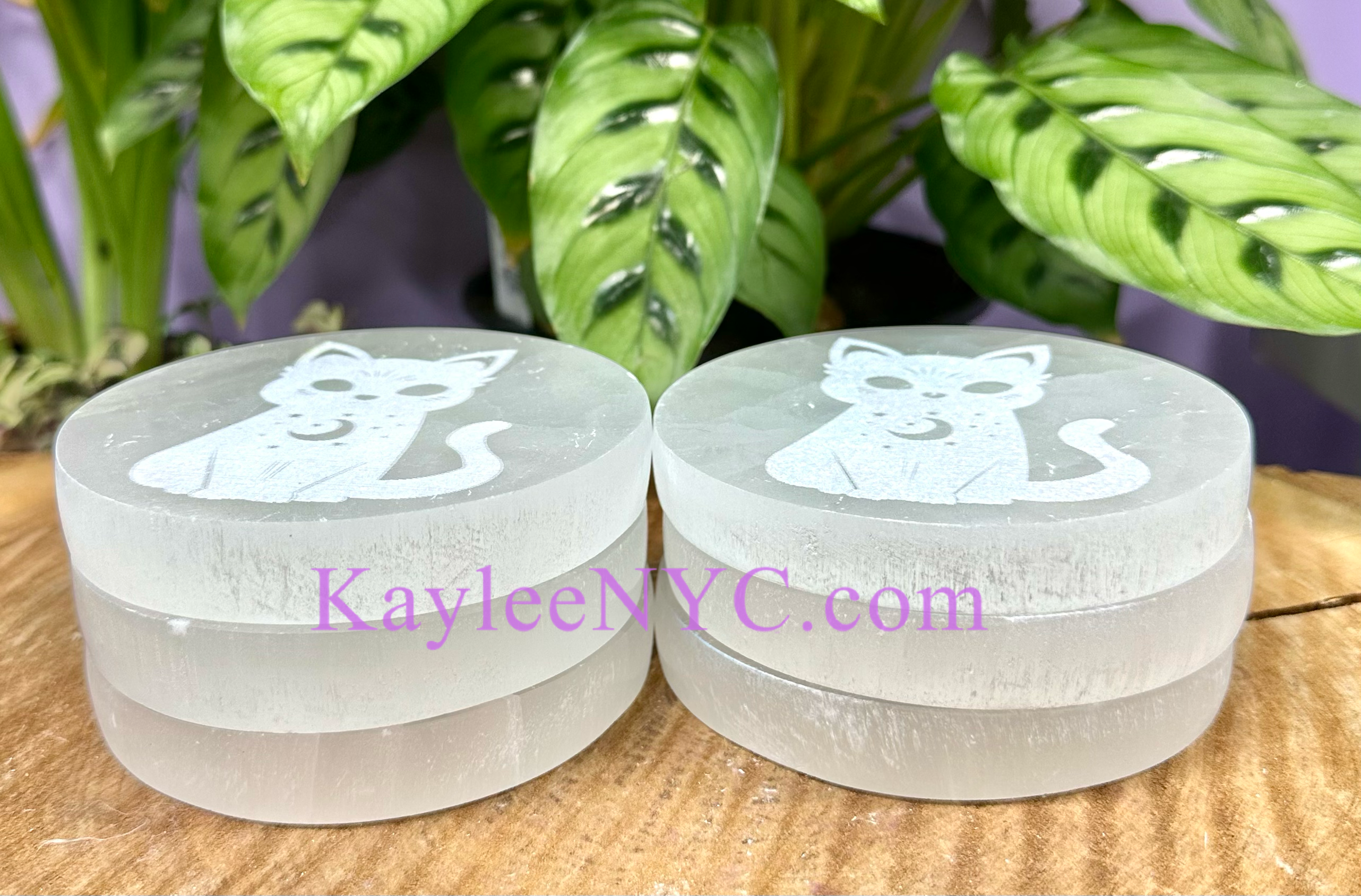 KayleeNYC - Wholesale Crystal Charging Plate - Natural Selenite aka Satin Spar Cat Charging Plate2