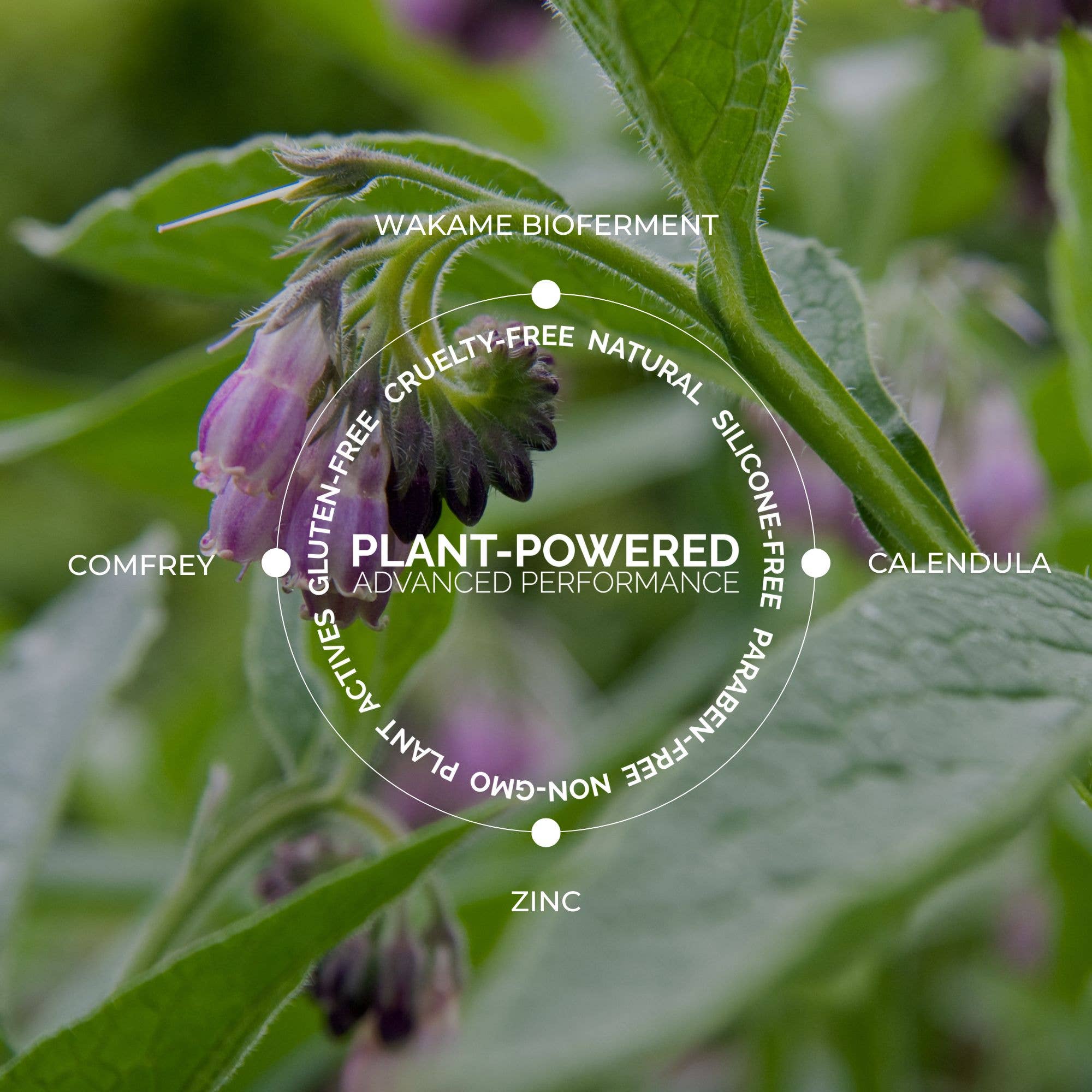 Fitglow Beauty - Wholesale Facial Moisturizer - Redness Rescue Cream (RRC), 30ml3