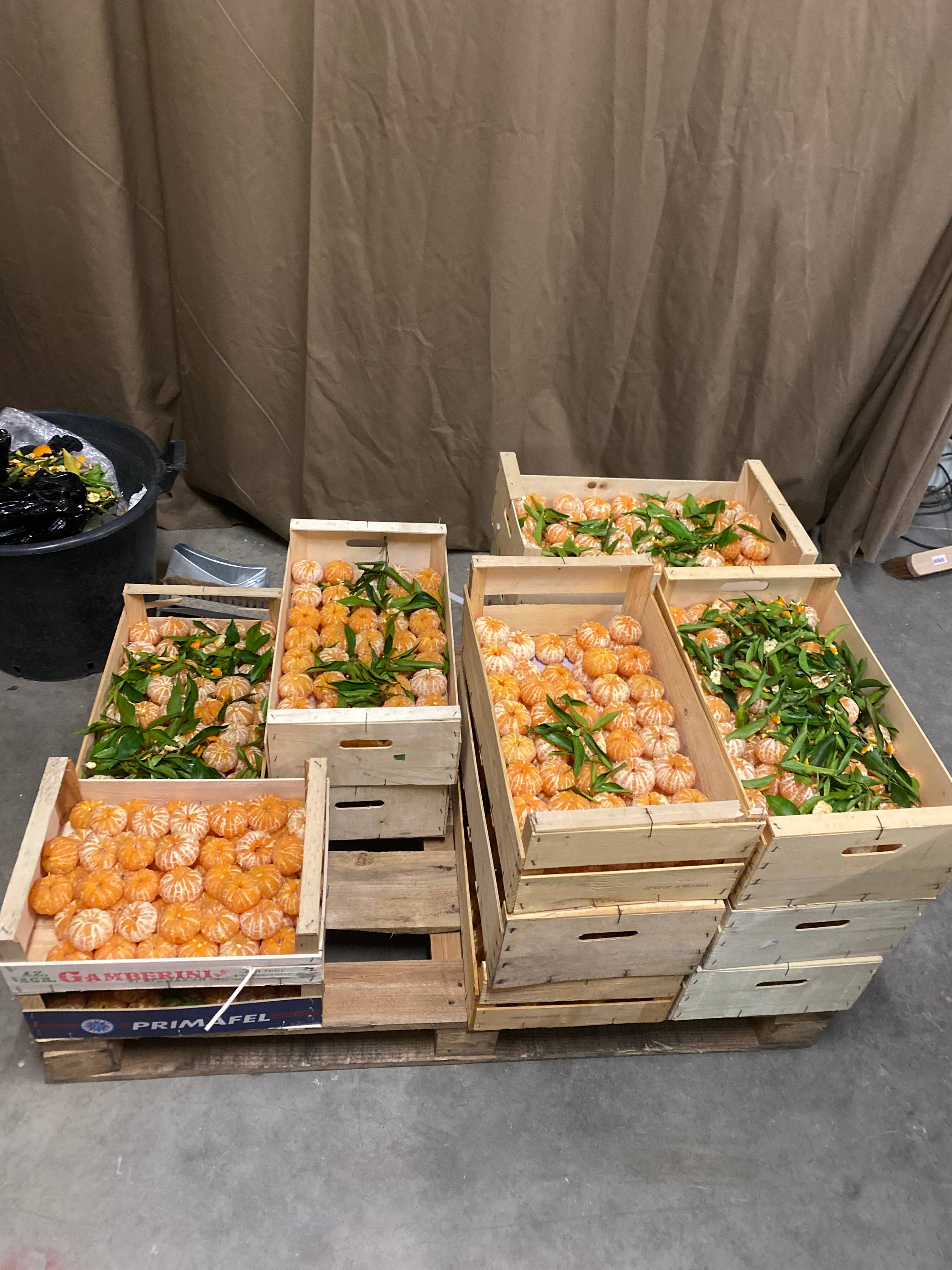 distillerie de la mer - Wholesale Liqueur - Mandarin liqueur4