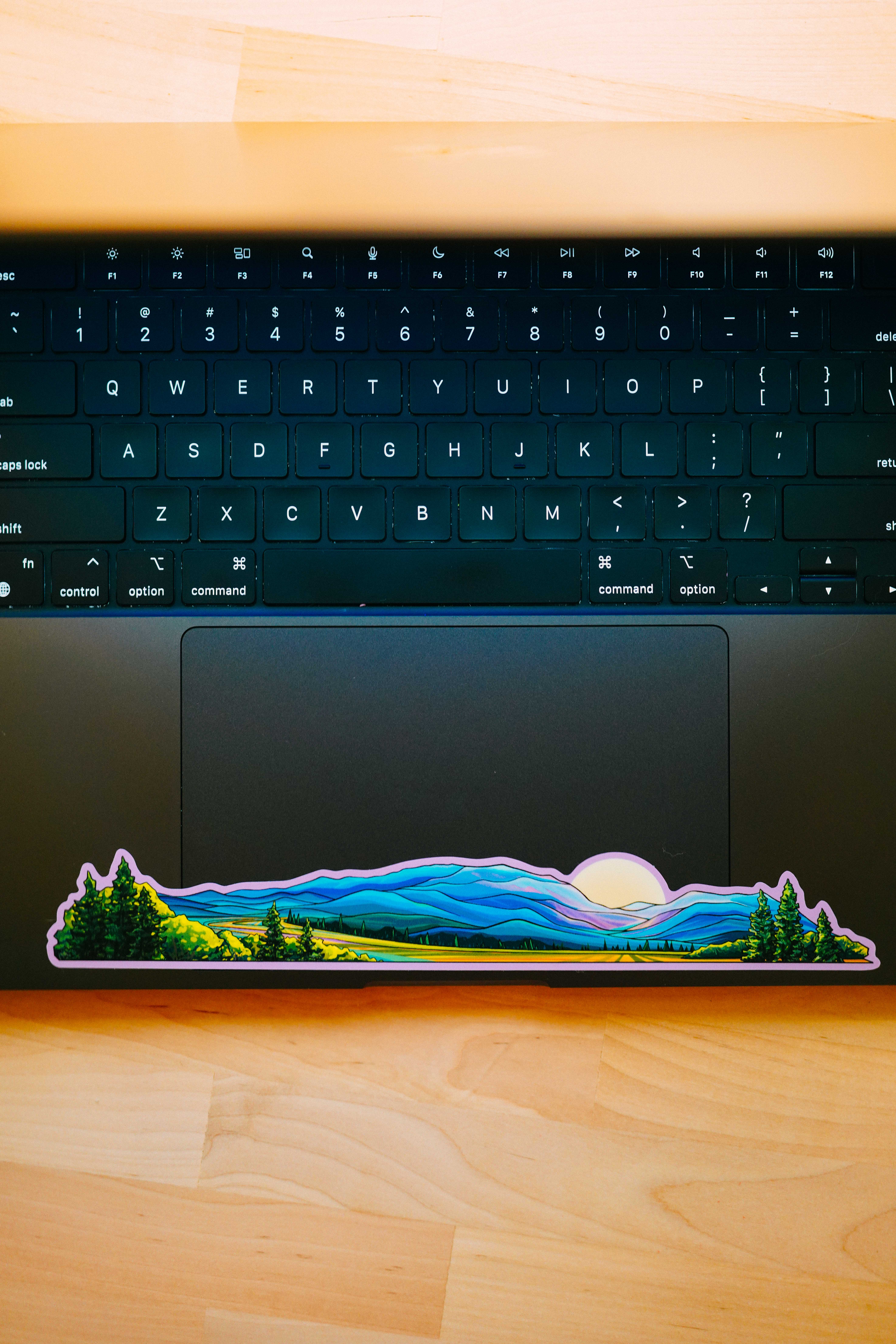 Hydrascape Stickers - Wholesale Sticker - Mount Rainier National Park Miniscape Sticker 3