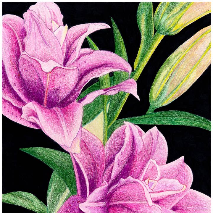 Rose Lilies Floral Art Print for wholesale by Greene Sun Art