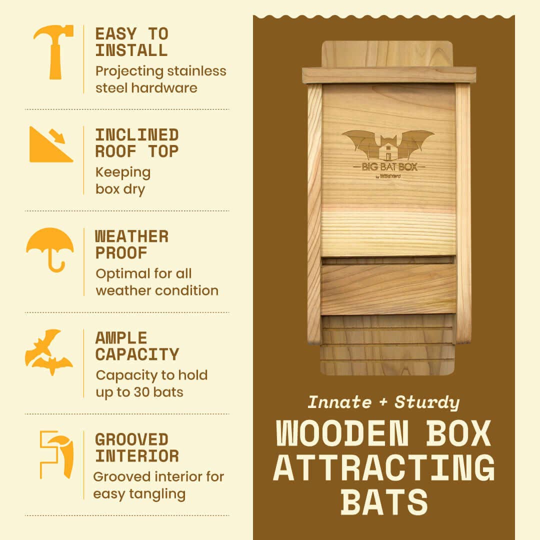 Big Bat Box – wholesale Bird house – Single Chamber Bat House (Cedar)3